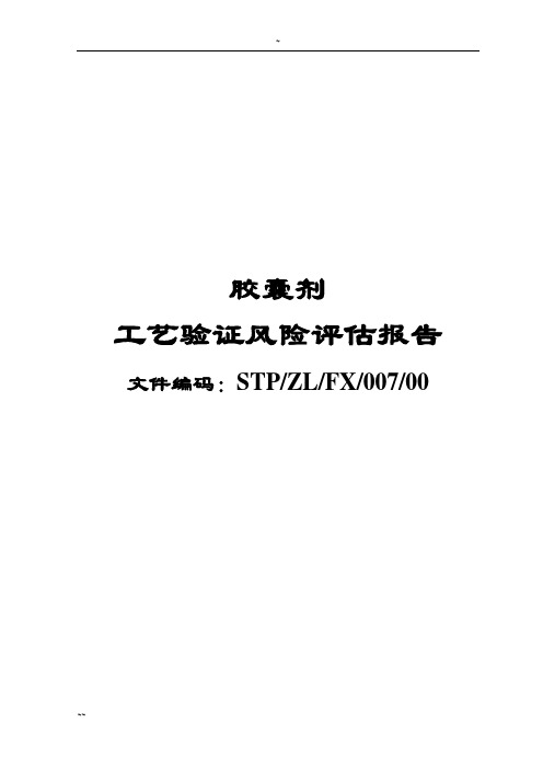 07胶囊剂工艺验证风险评估报告