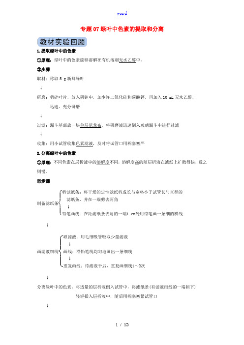 高考生物实验突破 专题07 绿叶中色素的提取和分离(含解析)-人教版高三全册生物试题