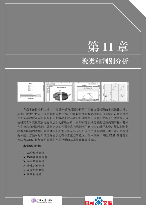 SPSS数据统计与分析标准教程聚类和判别分析