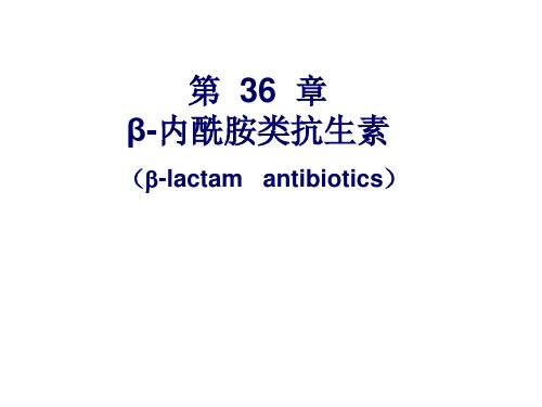 36 β-内酰胺类抗生素