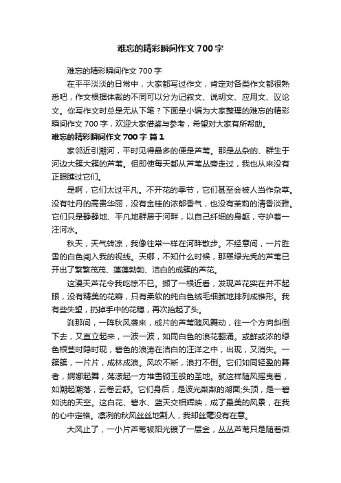 难忘的精彩瞬间作文700字