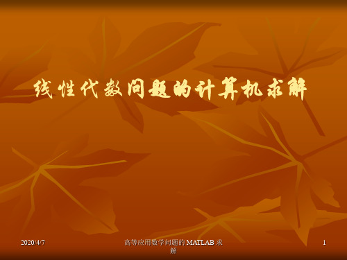 MATLAB综合应用二：线性代数问题的计算机求解.ppt