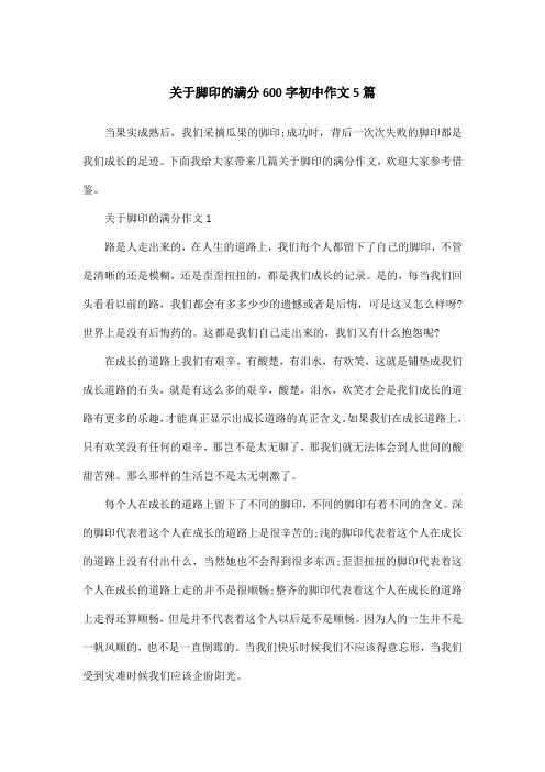 关于脚印的满分600字初中作文5篇