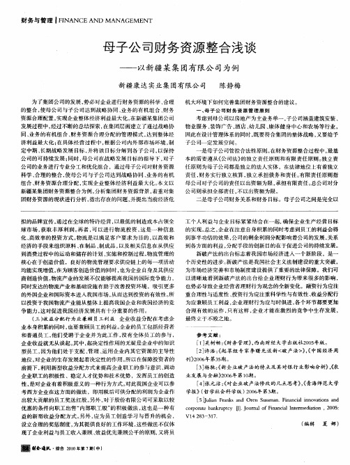 母子公司财务资源整合浅谈——以新疆某集团有限公司为例