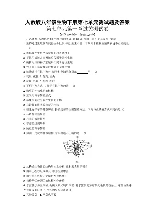 人教版八年级生物下册第七单元测试题及答案