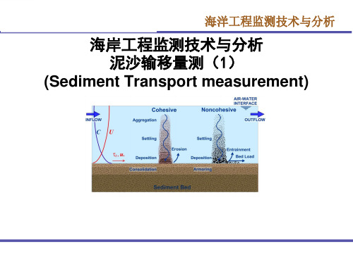 泥沙输移量测海岸工程监测技术与分析 (1)