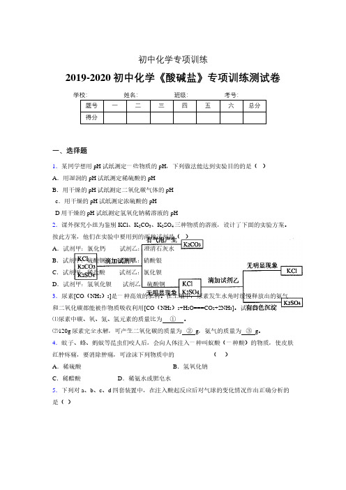 2019-2020学年初中化学《酸碱盐》专项训练模拟测试(含答案) (485)