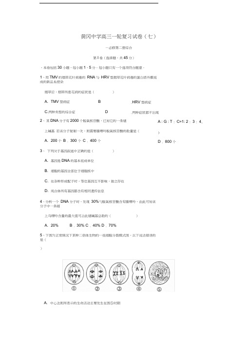 黄冈中学高三一轮复习试卷(七)