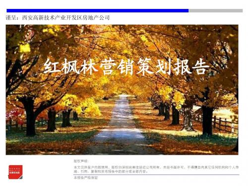 红枫林营销及发展概念