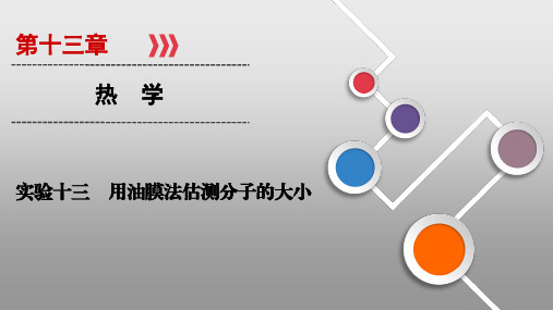 2021届高三一轮复习物理资料实验13用油膜法估测分子的大小PPT教学课件