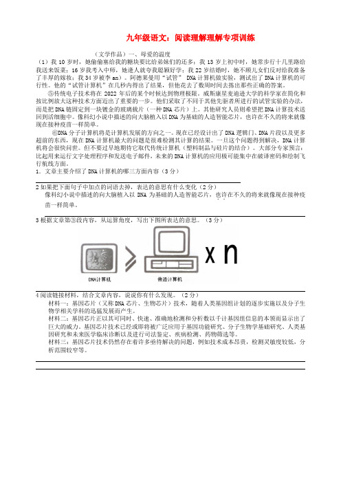 九年级语文上册 阅读理解理解专项训练人教新课标版