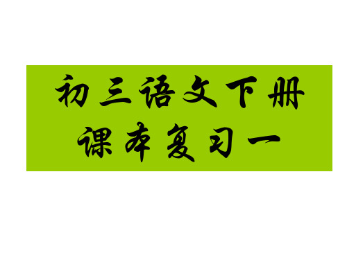 九年级下册语文基础复习课件