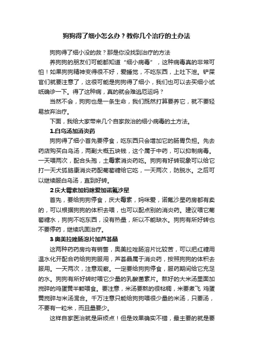 狗狗得了细小怎么办？教你几个治疗的土办法