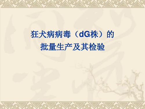 免疫学实验课件：狂犬病病毒(dG株)的批量生产及其检验