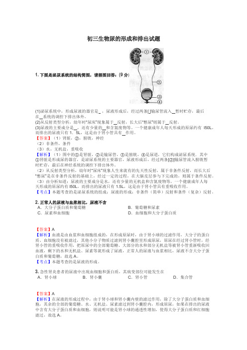 初三生物尿的形成和排出试题
