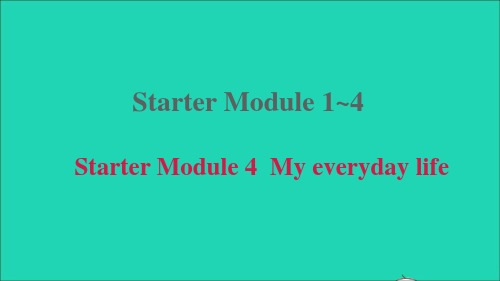 七年级英语上册Starter Module 4 My everyday life课件