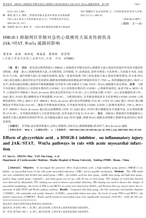 HMGB-1抑制剂甘草酸对急性心肌梗死大鼠炎性损伤及JAKSTAT、Wnt3a通路的影响