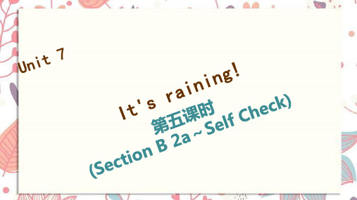 会泽县第三中学七年级英语下册 Unit 7 It's raining第五课时Section B 2a