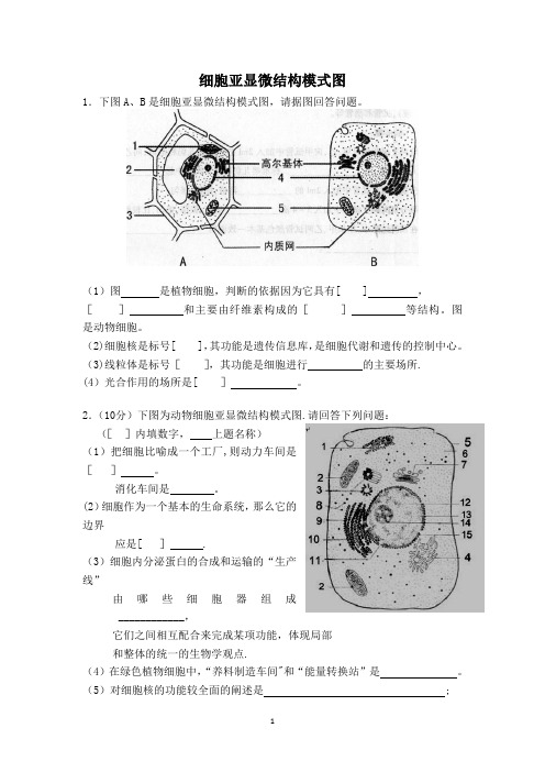 细胞亚显微结构图