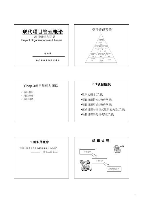 项目组织与团队