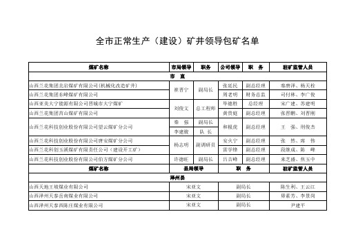 全市矿区领导名单