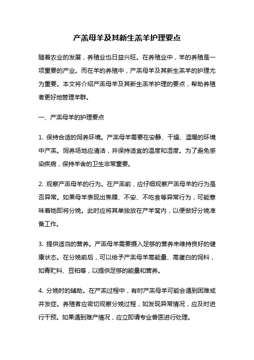 产羔母羊及其新生羔羊护理要点