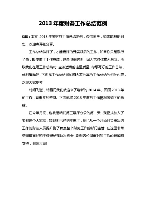 2013年度财务工作总结范例