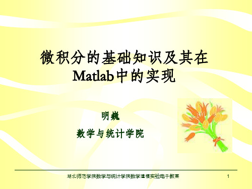 matlab在微积分中的应用PPT课件