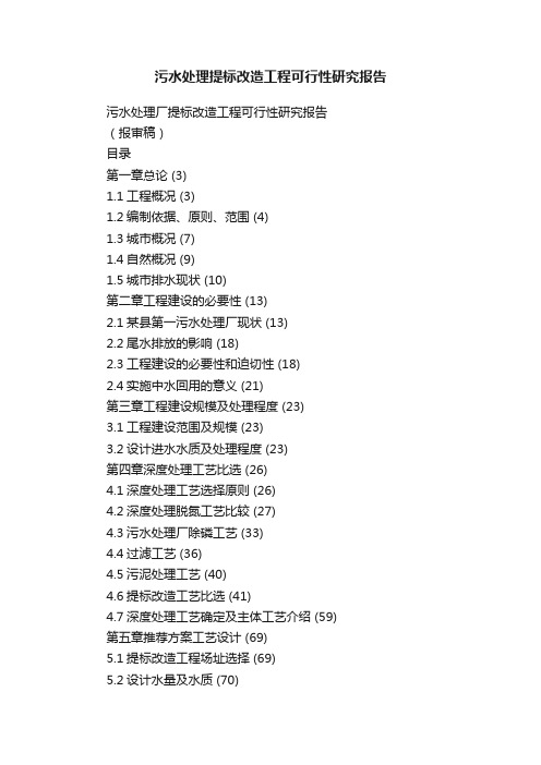 污水处理提标改造工程可行性研究报告