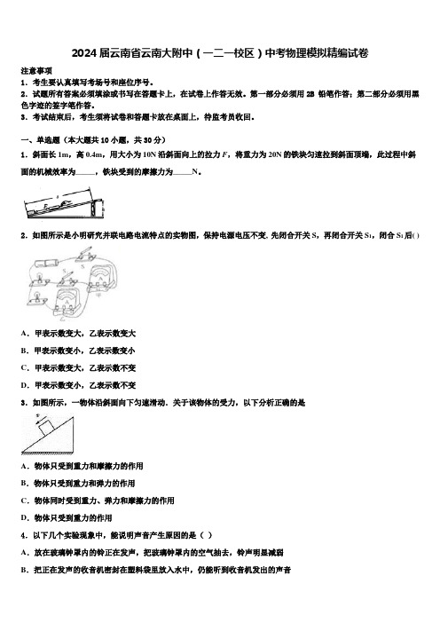 2024届云南省云南大附中(一二一校区)中考物理模拟精编试卷含解析