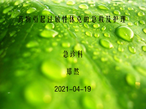 《药物过敏》幻灯片PPT