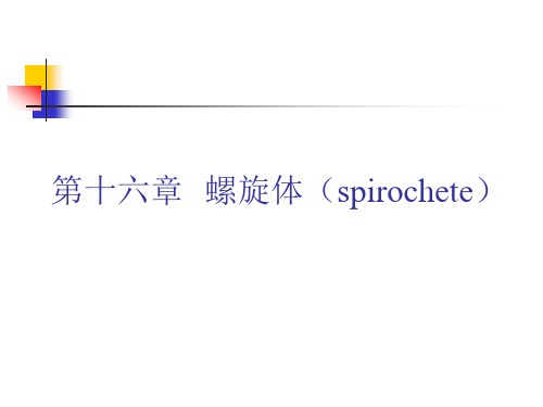 12第十六章  螺旋体(spirochete)