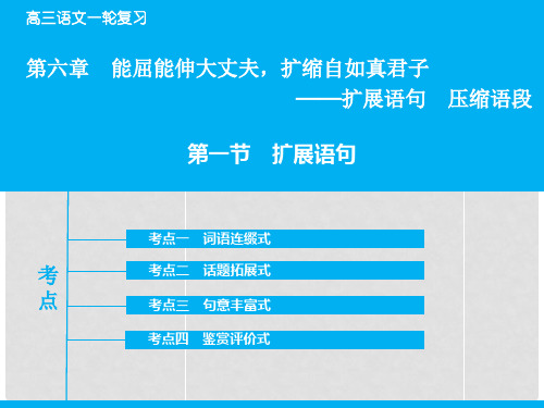 高考语文大一轮复习 专题1.6.1 扩展语句课件