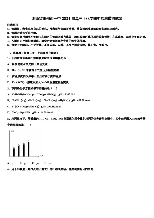 湖南省郴州市一中2025届高三上化学期中检测模拟试题含解析