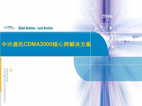 中兴通讯CDMA2000核心网解决方案