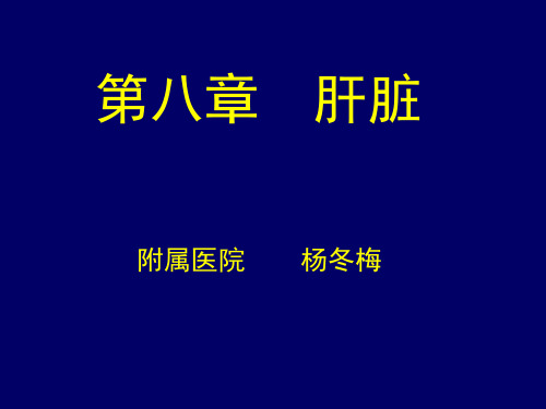 超声诊断学肝脏 ppt课件