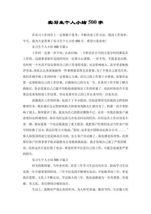 实习生个人小结500字