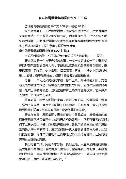 奋斗的青春最美丽初中作文800字（精选40篇）