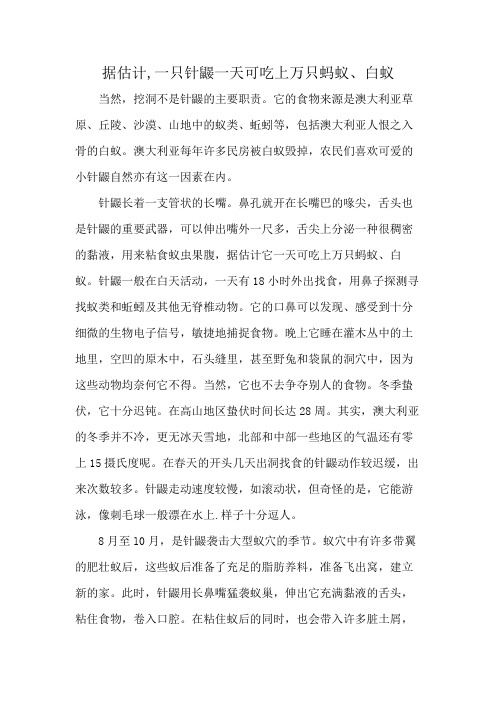 据估计,一只针鼹一天可吃上万只蚂蚁、白蚁