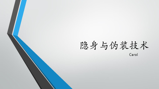 隐身与伪装技术教案资料