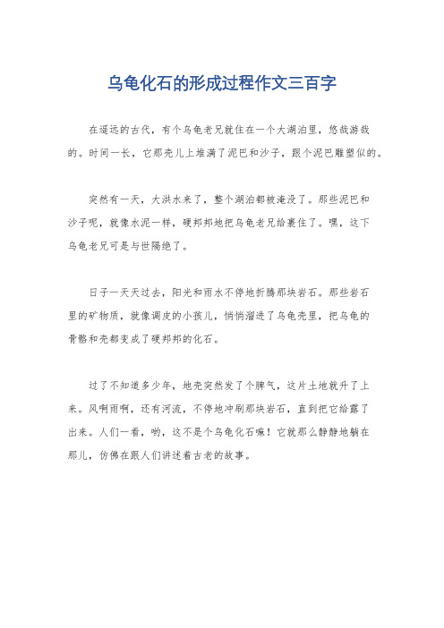 乌龟化石的形成过程作文三百字