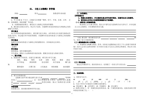 21、《老人与海鸥》 导学案