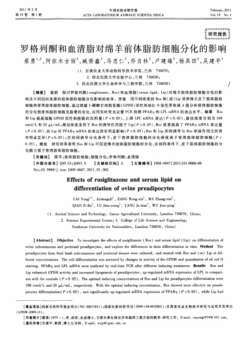 罗格列酮和血清脂对绵羊前体脂肪细胞分化的影响