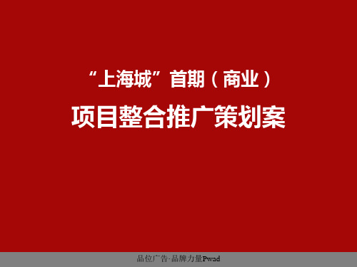 “上海城”首期(商业)城市综合体项目策划案