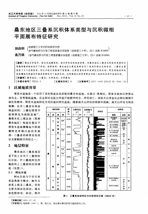 桑东地区三叠系沉积体系类型与沉积微相平面展布特征研究