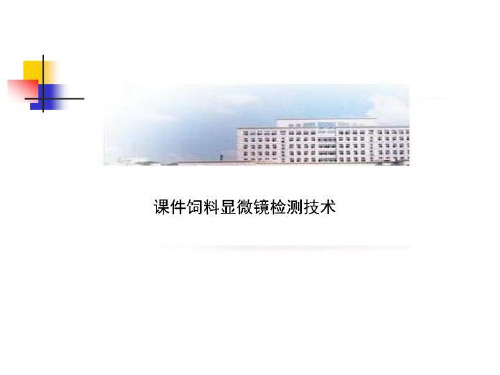 课件饲料显微镜检测技术