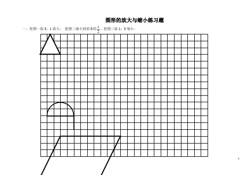 新人教版六年级下册第二学期图形的放大与缩小练习题 (1)