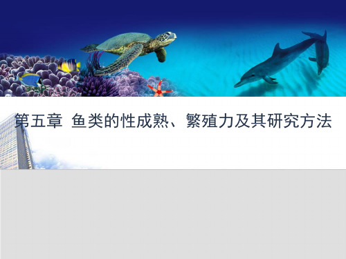 渔业资源与渔场学课件-第5章_鱼类的性成熟、繁殖力及其研究方法(专业知识模板)