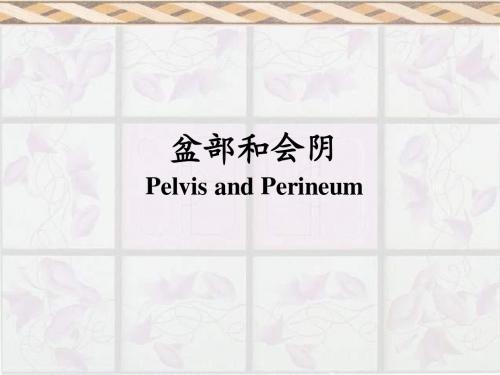 解剖14