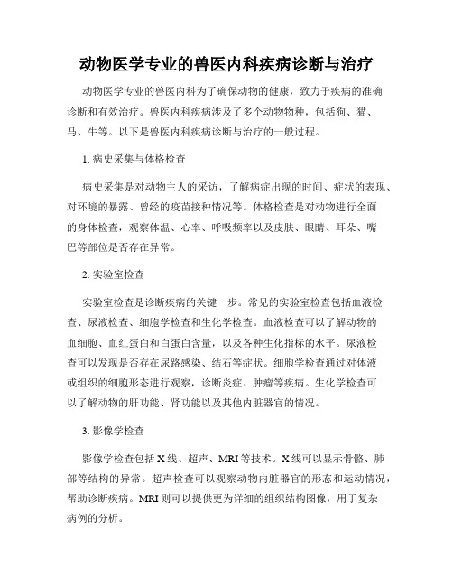 动物医学专业的兽医内科疾病诊断与治疗